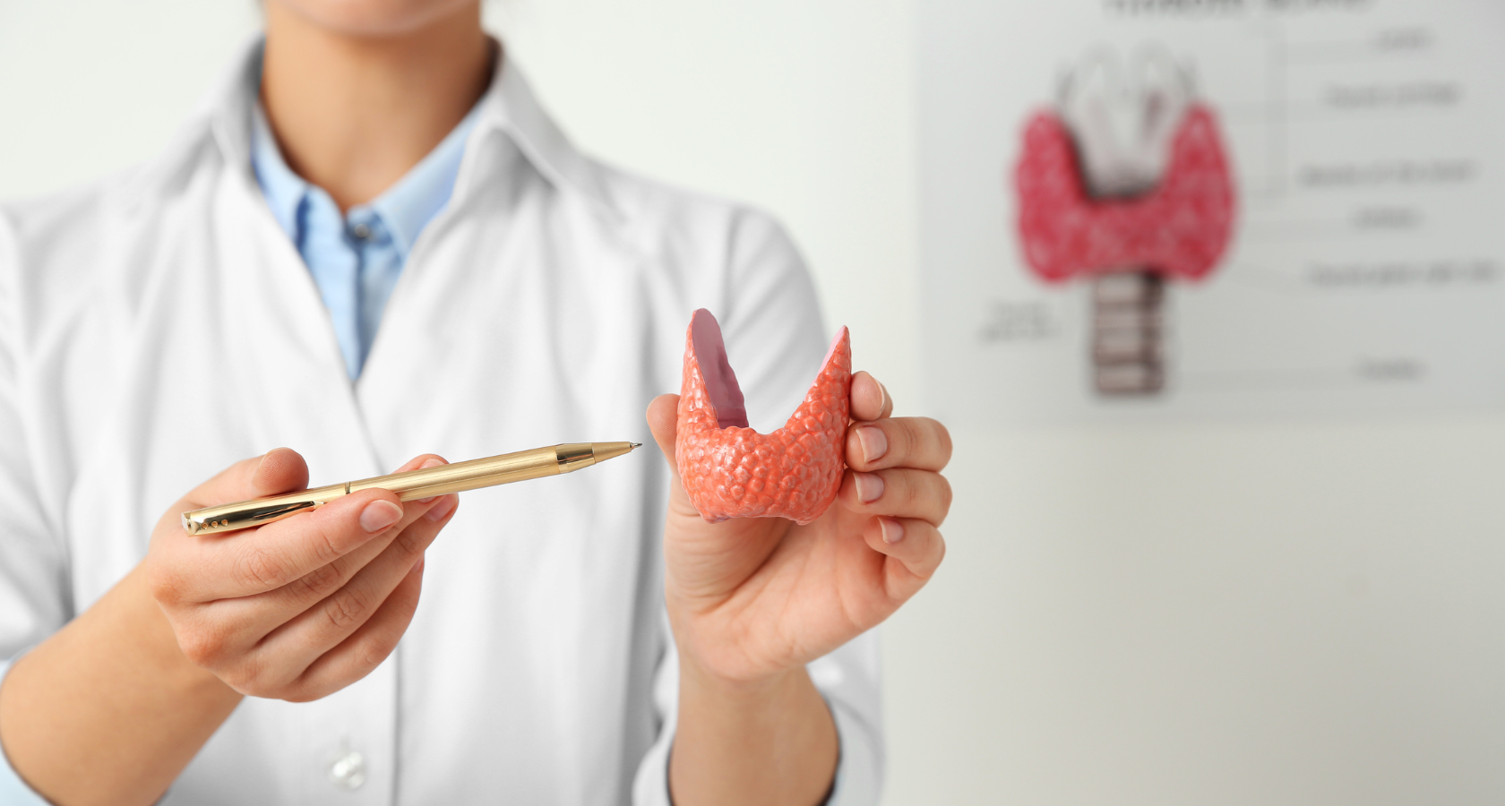 Эндокринология саласындағы резидентура бағдарламасы