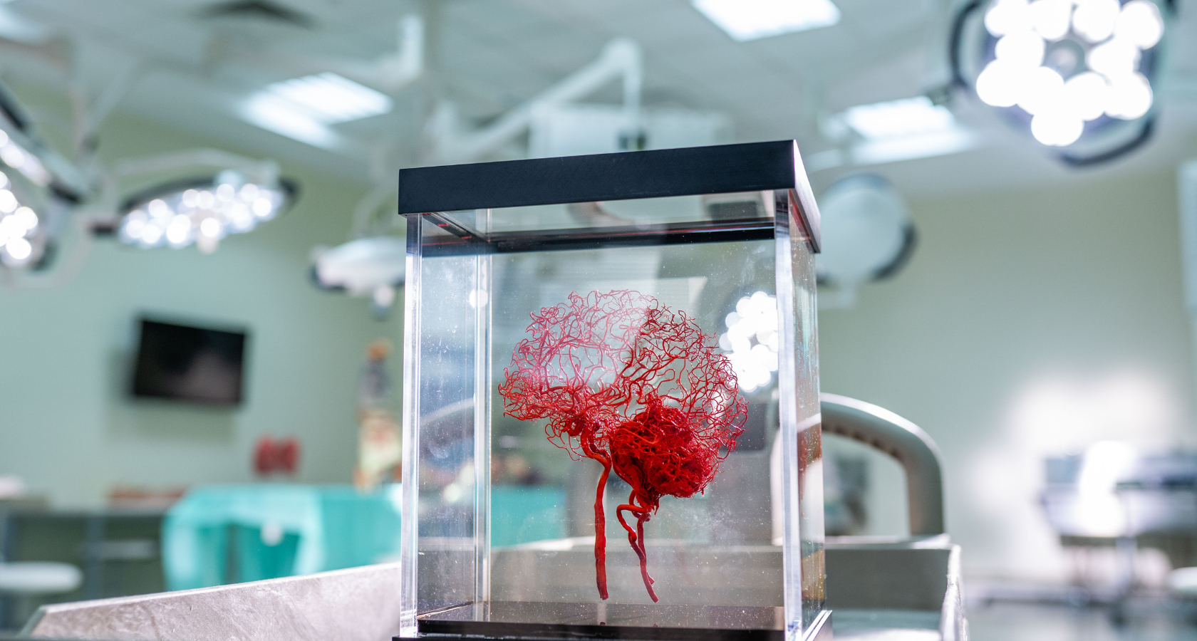 Медициналық онкология саласындағы резидентура бағдарламасы