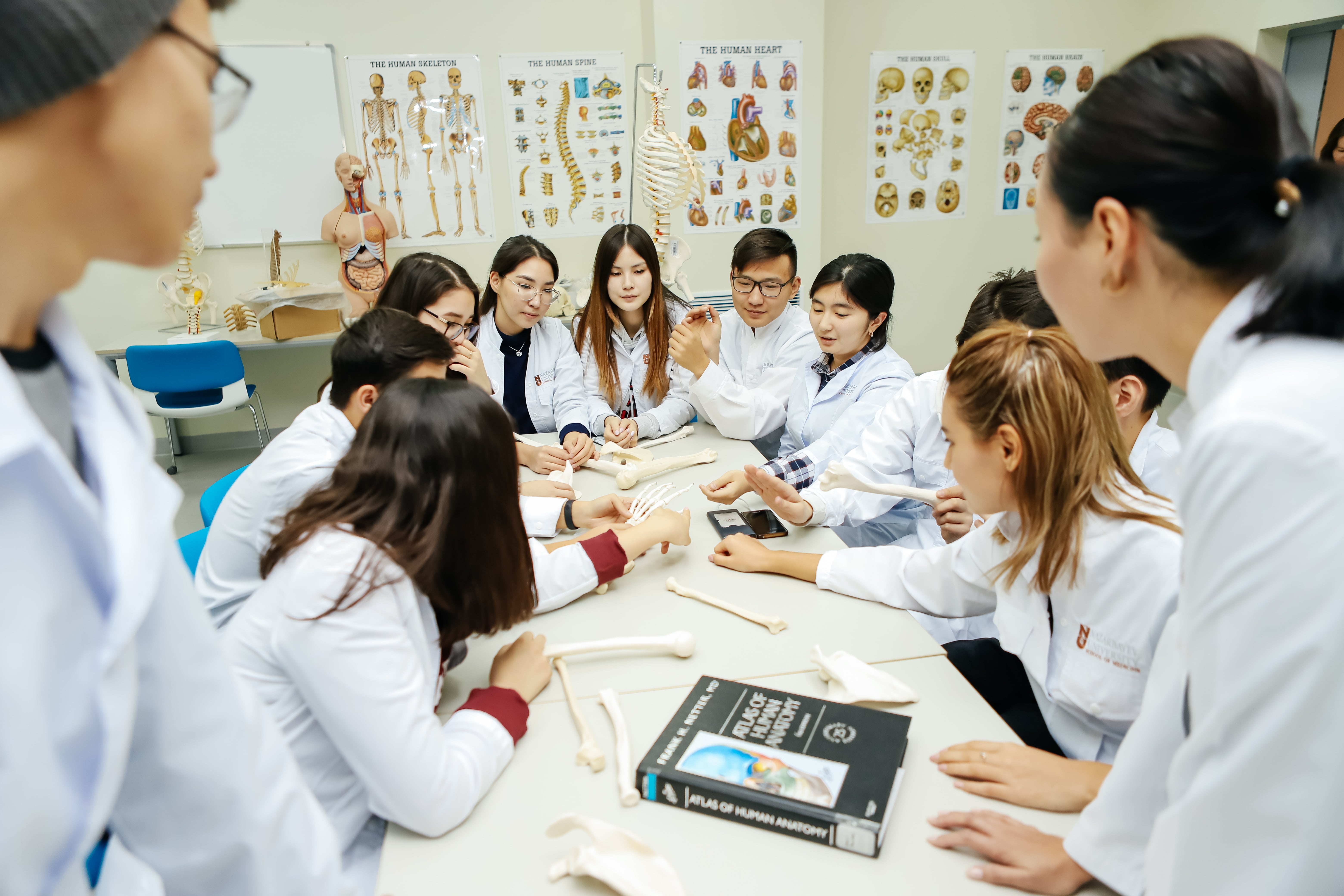 Қоғамдық денсаулық сақтау, магистратура