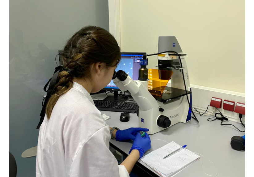 The extension of the deadline for submitting online applications to the 2-year Bachelor in Nursing program of the NU School of Medicine 