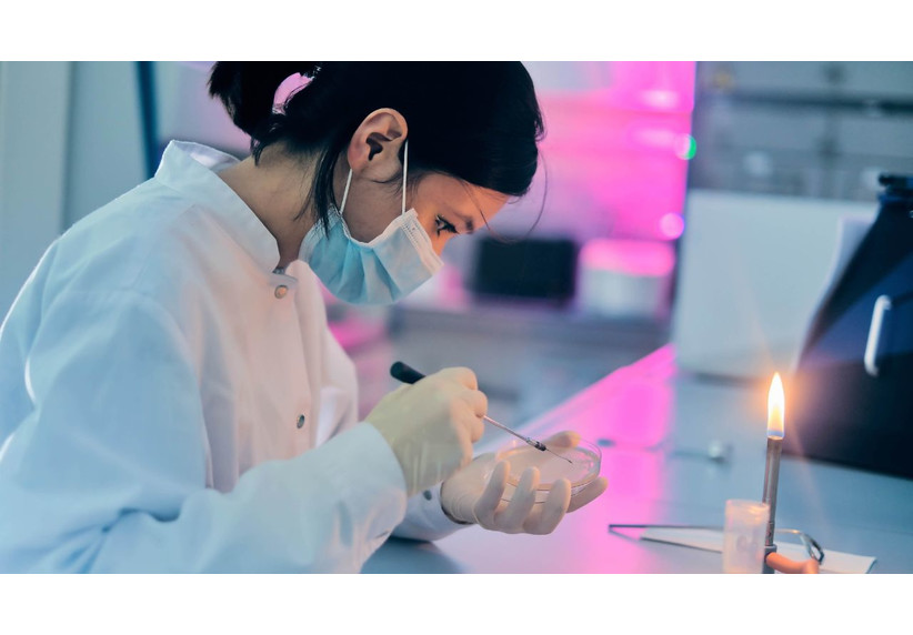 Attention: Important information for applicants of the undergraduate programs