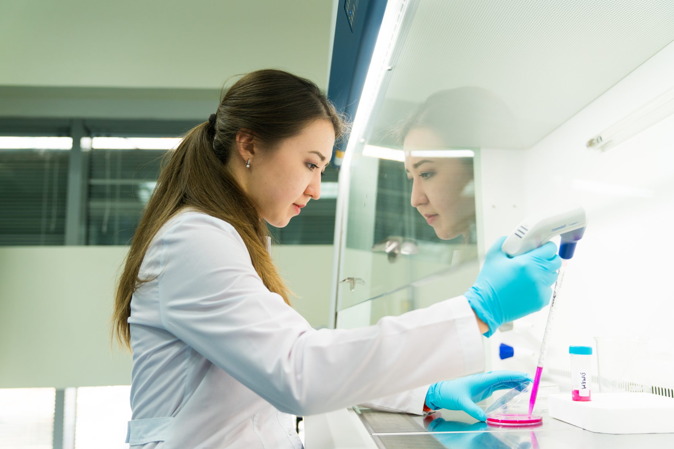 Master of Pharmacology and Toxicology 