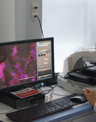 NU PhD student’s research may help develop a new approach to cure cancer and diabetes