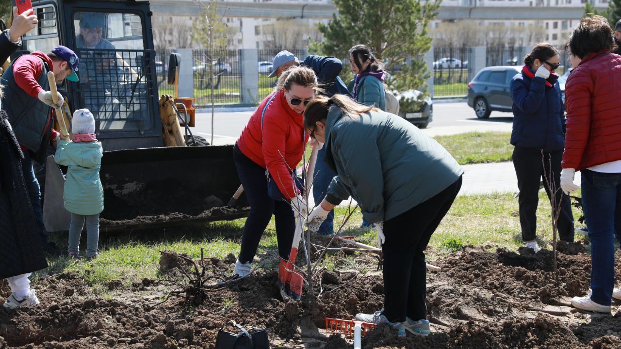 NU Planted Fruit Tree Garden