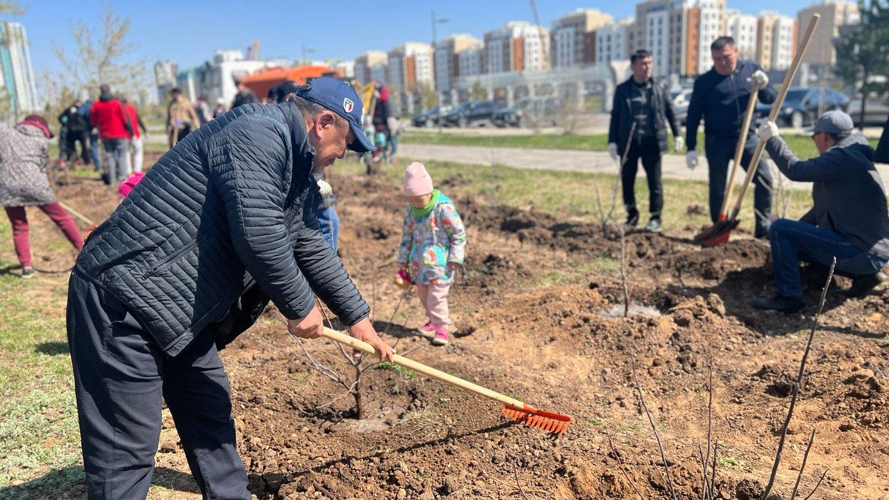 NU Planted Fruit Tree Garden