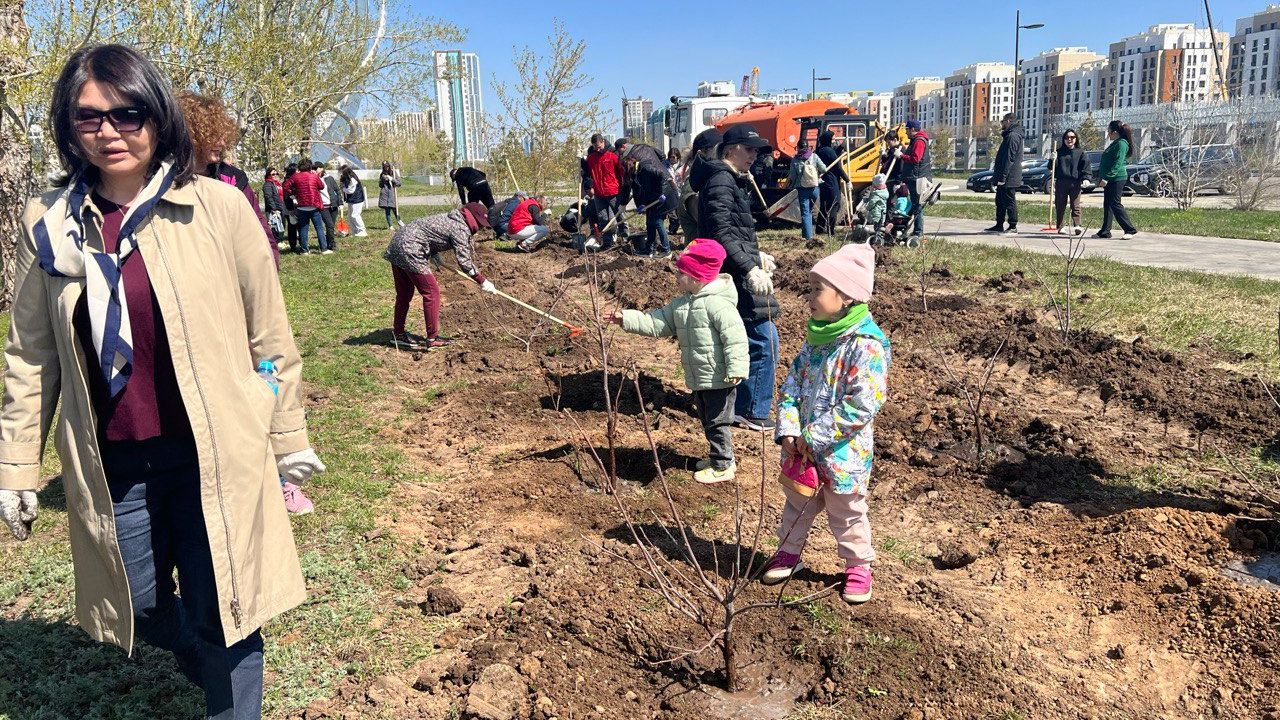 NU Planted Fruit Tree Garden