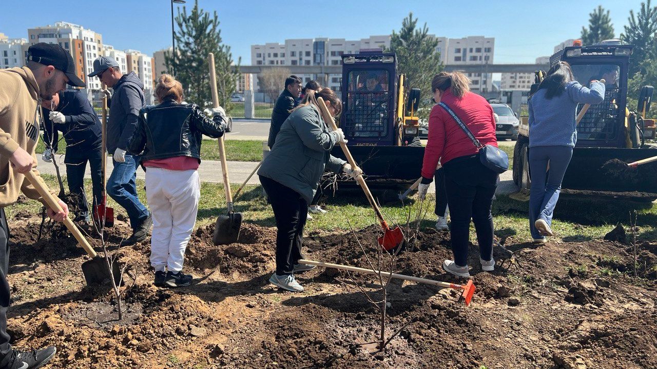 NU Planted Fruit Tree Garden