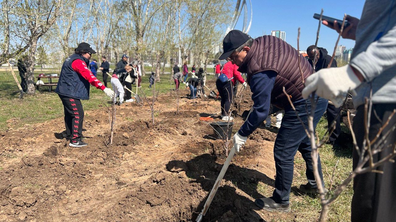 NU Planted Fruit Tree Garden